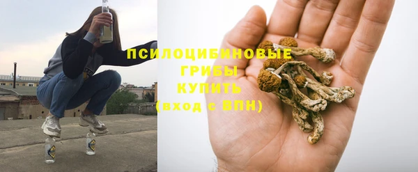МДПВ Медногорск
